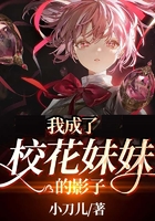 我成了校花妹妹的影子