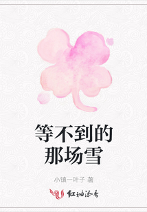 等不到的那場雪
