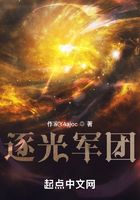 逐光军团在线阅读