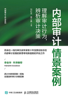 内部审计情景案例：理解审计行为，辨析审计决策