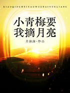 小青梅要我摘月亮在線閱讀