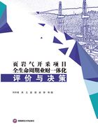 页岩气开采项目全生命周期业财一体化评价与决策在线阅读