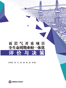 頁巖氣開采項目全生命周期業財一體化評價與決策