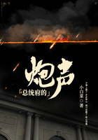 總統府的炮聲在線閱讀