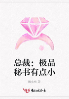 總裁：極品秘書有點(diǎn)小在線閱讀