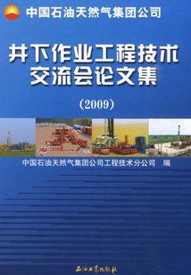 中國石油天然氣集團公司井下作業工程技術交流會論文集（2009）