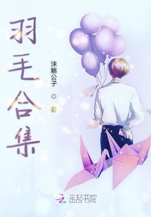 羽毛合集