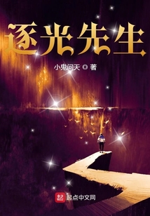 逐光先生