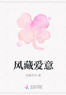 风藏爱意