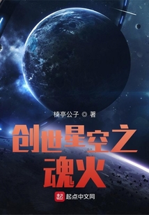 创世星空之魂火