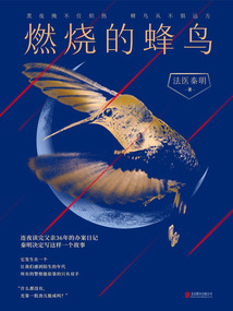 燃燒的蜂鳥(niǎo)