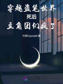 穿越盜筆世界死后主角團(tuán)們瘋了