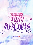 婆婆瘫在我的婚礼现场在线阅读