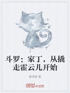 斗罗:家丁,从撬走霍云儿开始在线阅读