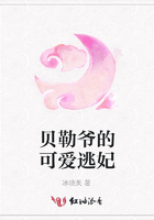 貝勒爺的可愛逃妃在線閱讀