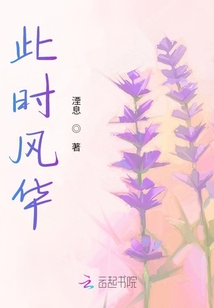 此時風華