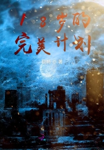 18歲的完美計劃