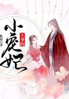 王爷的小宠妃