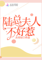 陸總夫人不好惹在線閱讀