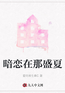 暗戀在那盛夏