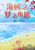 海贼之梦之所愿