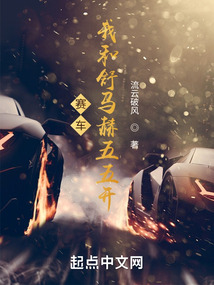賽車：我和舒馬赫五五開