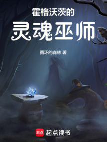 霍格沃茨的靈魂巫師