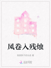 風卷入殘燭