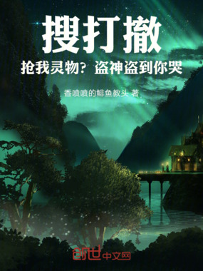 搜打撤:抢我灵物?盗神盗到你哭在线阅读