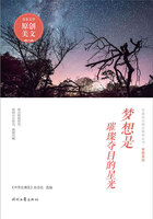 青春美文精品集萃丛书·梦想系列:梦想是璀璨夺目的星光在线阅读