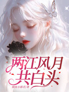 两江风月共白头在线阅读