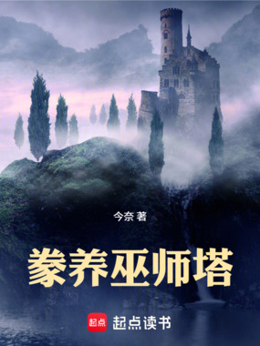 豢养巫师塔在线阅读