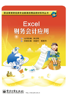 Excel财务会计应用