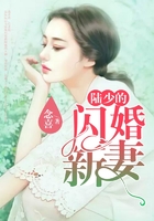 陸少的閃婚新妻在線閱讀