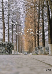 初中，何去何從