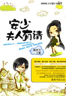 安少夫人有請
