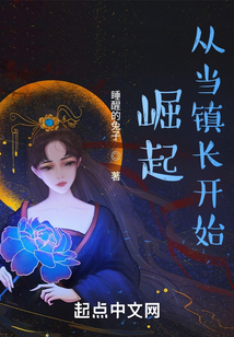 崛起从当镇长开始 cover