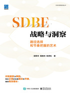 SDBE战略与洞察：路径选择和节奏把握的艺术在线阅读