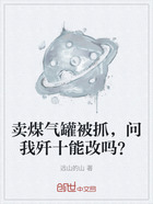卖煤气罐被抓,问我歼十能改吗?在线阅读