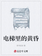 电梯里的黄昏在线阅读