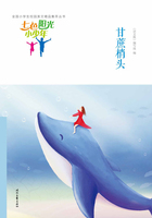 “七色阳光小少年”全国小学生校园美文精品集萃丛书:甘蔗梢头在线阅读