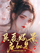良辰好景应如是在线阅读