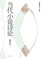 述而批评丛书·第二辑：当代小说诗论在线阅读