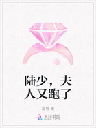 陸少，夫人又跑了在線閱讀