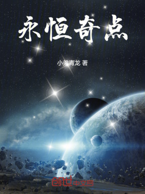 永恒奇点在线阅读