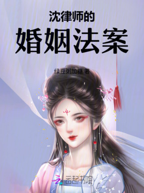沈律师的婚姻法案在线阅读