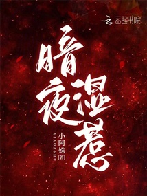 暗夜湿惹 封面