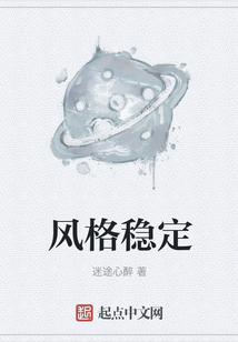 風(fēng)格穩(wěn)定