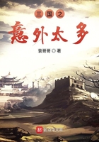 三國之意外太多在線閱讀
