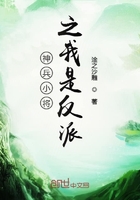 神兵小将之我是反派在线阅读